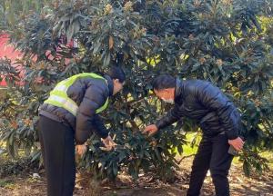 10多种气象指数保险帮农户化解极端天气担忧